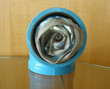 rose-2.JPG