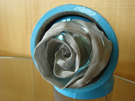 rose.JPG